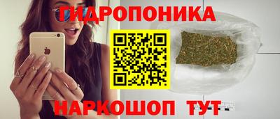 гидра Гагарин