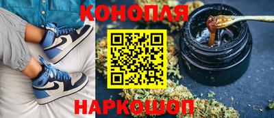 гидра Гагарин