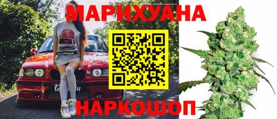 spice Гай