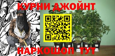 гидра Гагарин