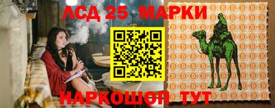 spice Гай